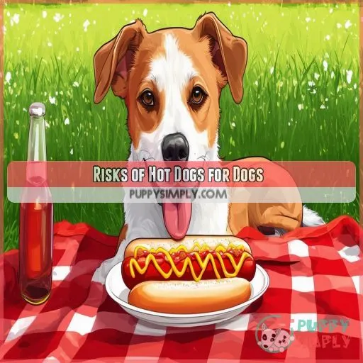 Risks of Hot Dogs for Dogs