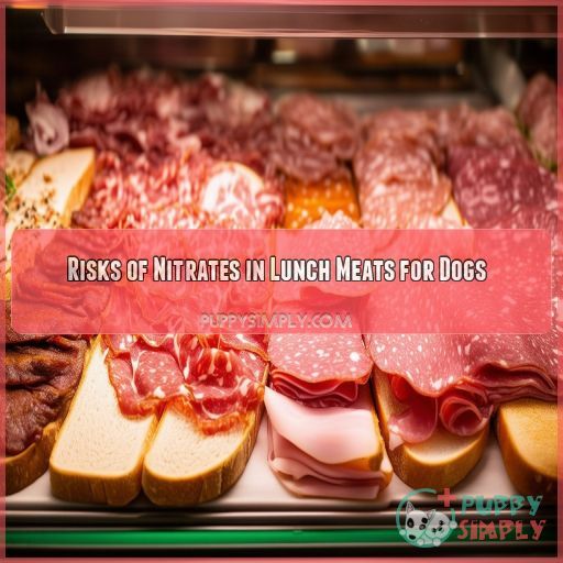 Risks of Nitrates in Lunch Meats for Dogs
