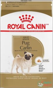 Royal Canin Pug Adult Breed B002V2AUT6