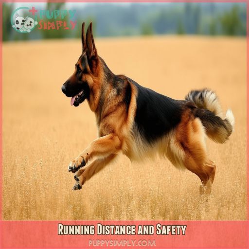 Running Distance and Safety