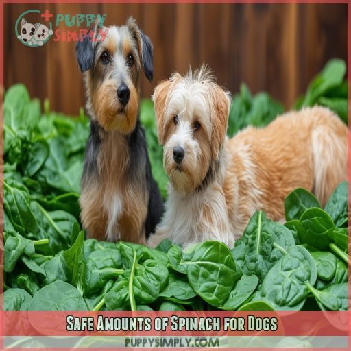 Safe Amounts of Spinach for Dogs