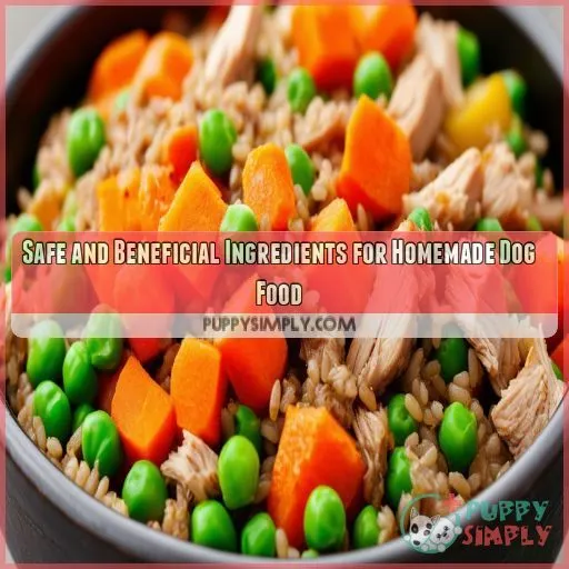 Safe and Beneficial Ingredients for Homemade Dog Food