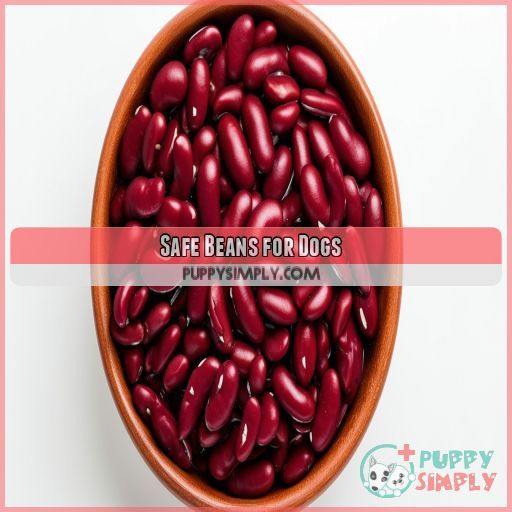 Safe Beans for Dogs