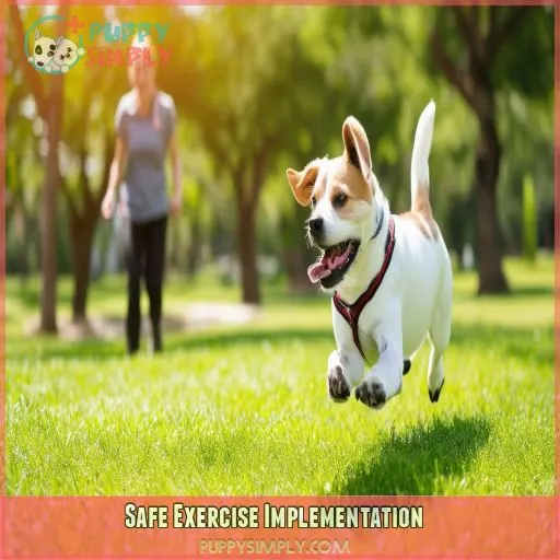 Safe Exercise Implementation