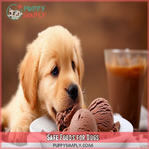Safe Foods for Dogs