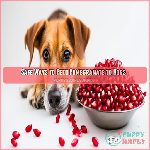 Safe Ways to Feed Pomegranate to Dogs
