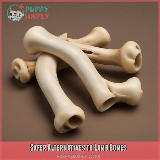 Safer Alternatives to Lamb Bones