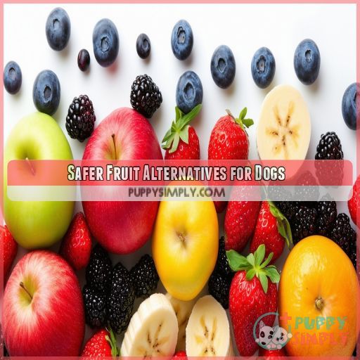 Safer Fruit Alternatives for Dogs