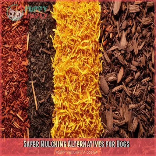 Safer Mulching Alternatives for Dogs