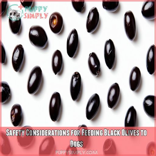 Safety Considerations for Feeding Black Olives to Dogs