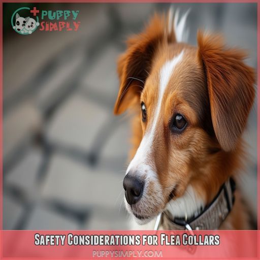 Safety Considerations for Flea Collars
