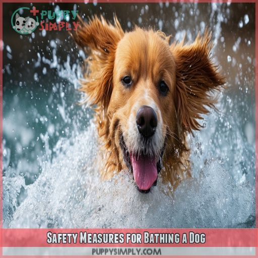 Safety Measures for Bathing a Dog