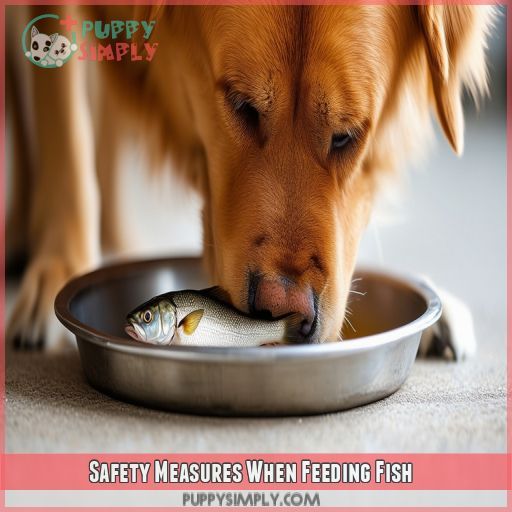 Safety Measures When Feeding Fish