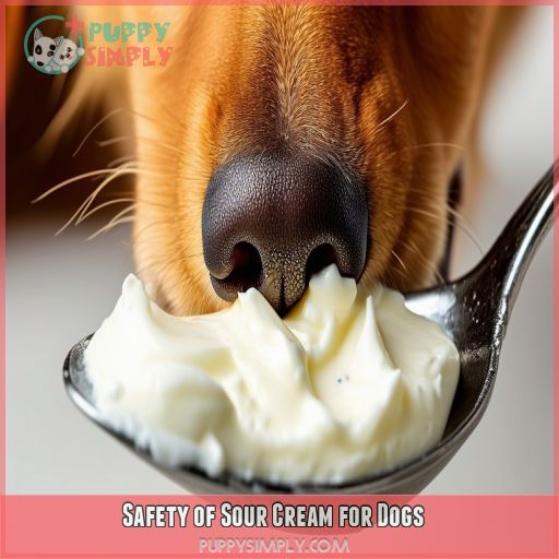 Safety of Sour Cream for Dogs