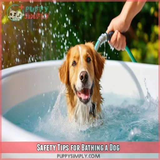 Safety Tips for Bathing a Dog