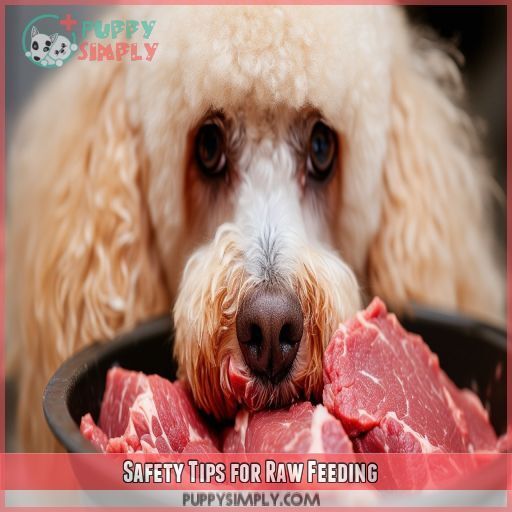 Safety Tips for Raw Feeding Safety Tips for Raw Feeding