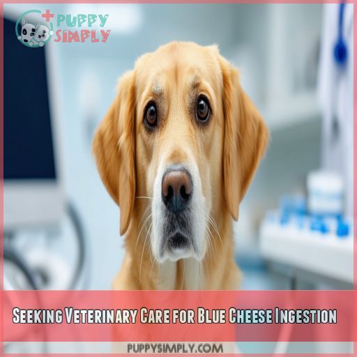 Seeking Veterinary Care for Blue Cheese Ingestion