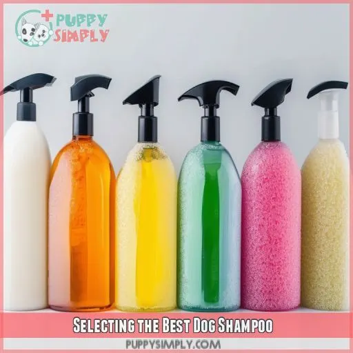 Selecting the Best Dog Shampoo