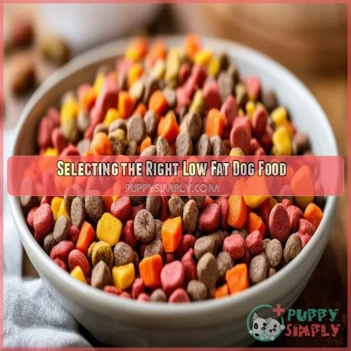 Selecting the Right Low Fat Dog Food