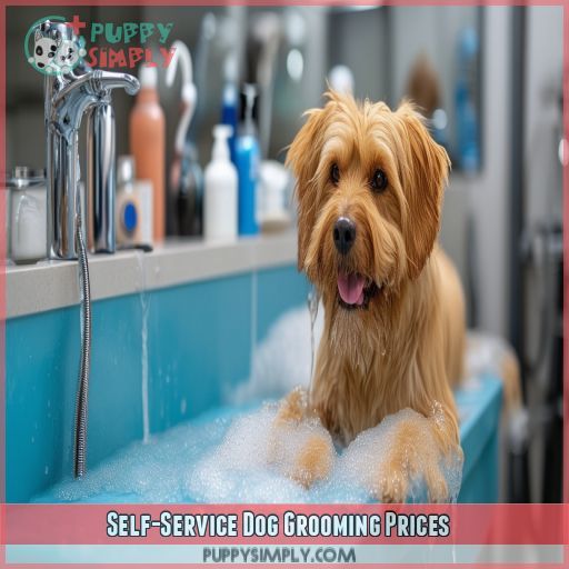 Self-Service Dog Grooming Prices