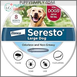 Seresto Large Dog Vet-Recommended Flea