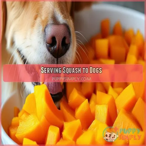 Serving Squash to Dogs