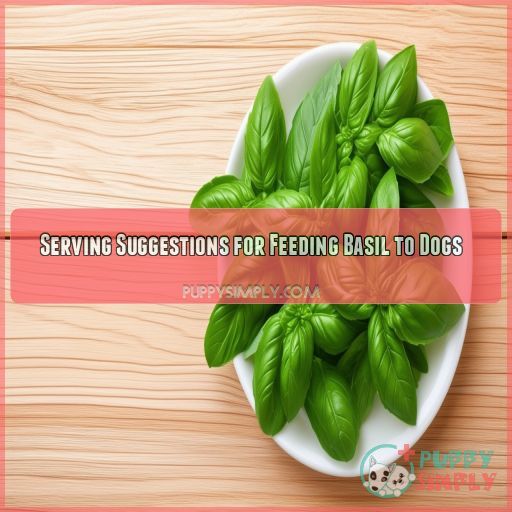 Serving Suggestions for Feeding Basil to Dogs
