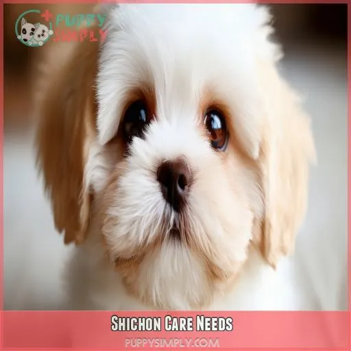 Shichon Care Needs