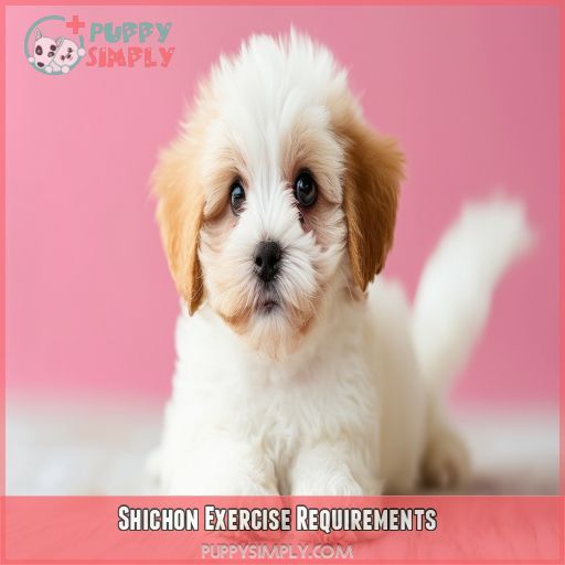 Shichon Exercise Requirements