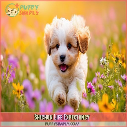 Shichon Life Expectancy