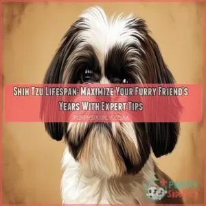 shih tzu lifespan