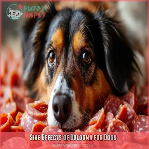 Side Effects of Bologna for Dogs