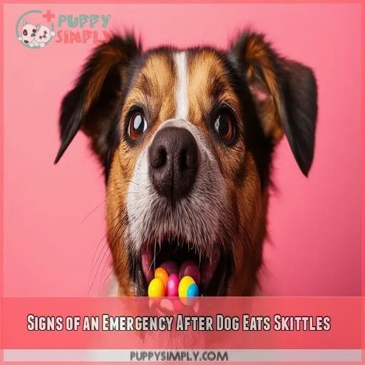 Signs of an Emergency After Dog Eats Skittles