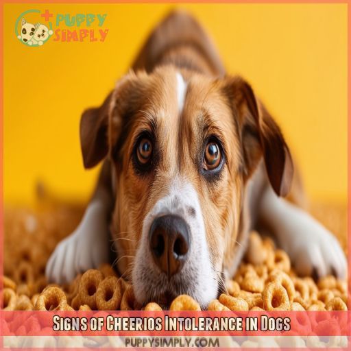 Signs of Cheerios Intolerance in Dogs