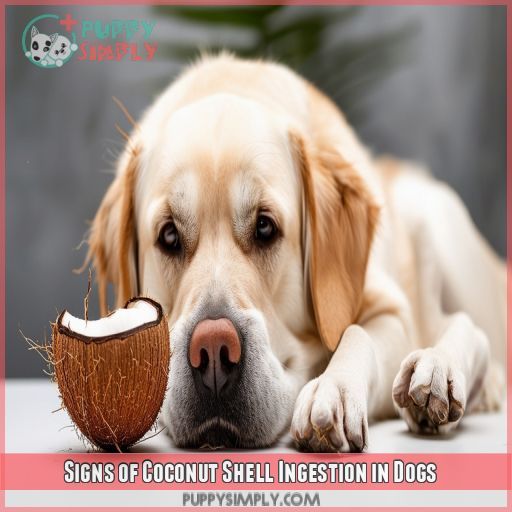 Signs of Coconut Shell Ingestion in Dogs