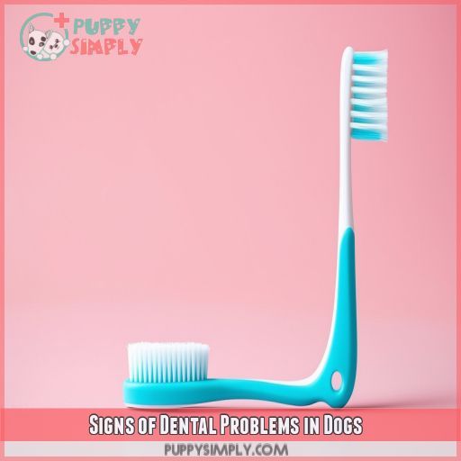 Signs of Dental Problems in Dogs