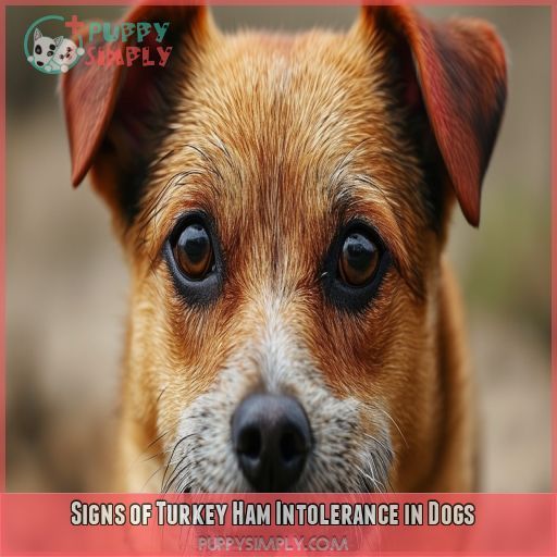 Signs of Turkey Ham Intolerance in Dogs
