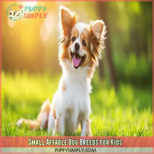 Small Affable Dog Breeds for Kids