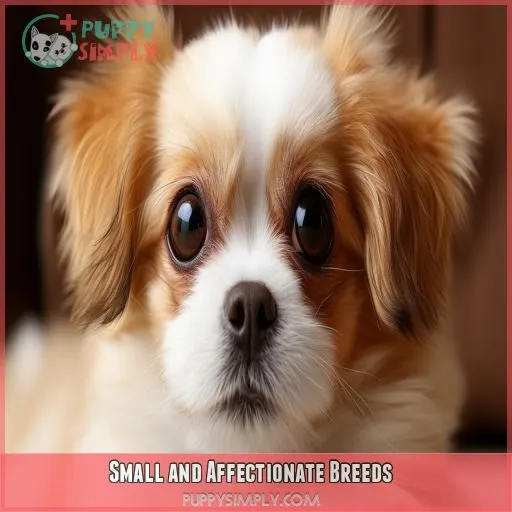 Small and Affectionate Breeds