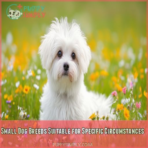 Small Dog Breeds Suitable for Specific Circumstances