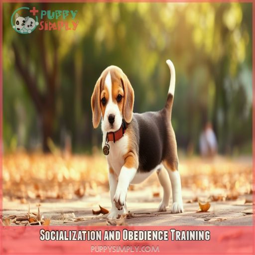 Socialization and Obedience Training
