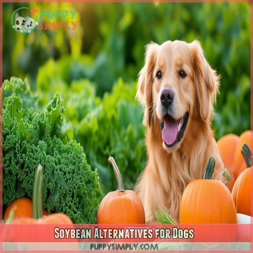 Soybean Alternatives for Dogs