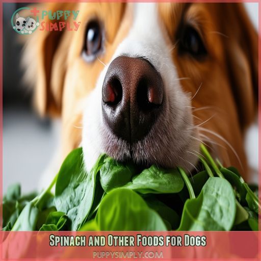 Spinach and Other Foods for Dogs