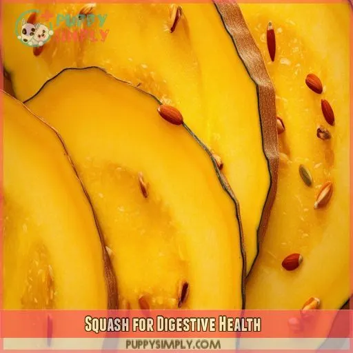 Squash for Digestive Health