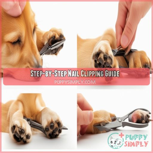 Step-by-Step Nail Clipping Guide