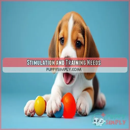 Stimulation and Training Needs