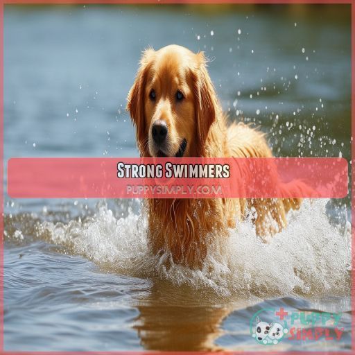 Strong Swimmers