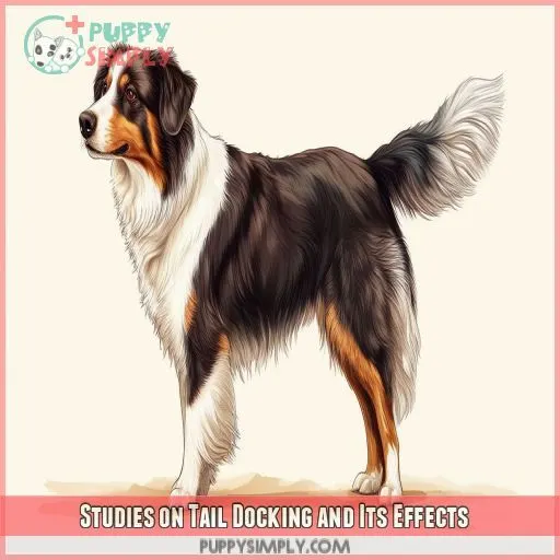 Studies on Tail Docking and Its Effects