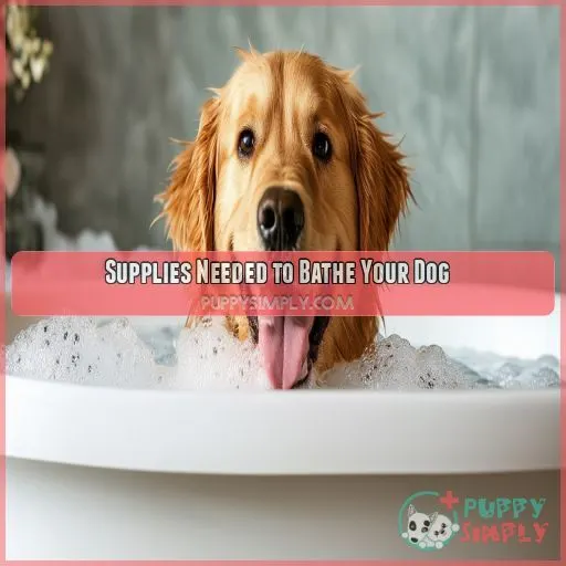 Supplies Needed to Bathe Your Dog