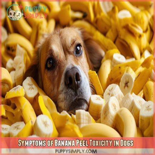 Symptoms of Banana Peel Toxicity in Dogs